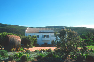 Hermanus Whalehaven Winery