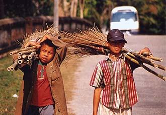 Boys with bamboo besom, Luang Prabang