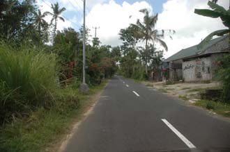 DPS Bali street from Pelaga to Kintamani 02 3008x2000