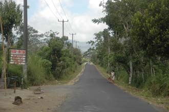 DPS Bali street from Pelaga to Kintamani 07 3008x2000