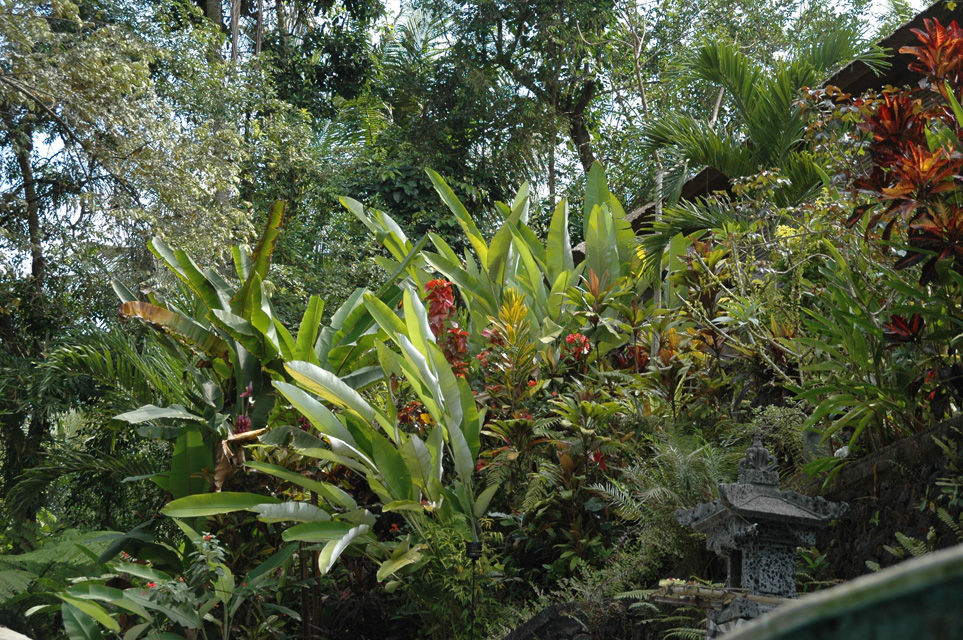 DPS Bali Ubud Bedulu Gubah Bali Exclusive Villas tropical plants in the garden 01 3008x2000