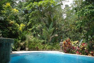 DPS Bali Ubud Bedulu Gubah Bali Exclusive Villas pool 02 3008x2000