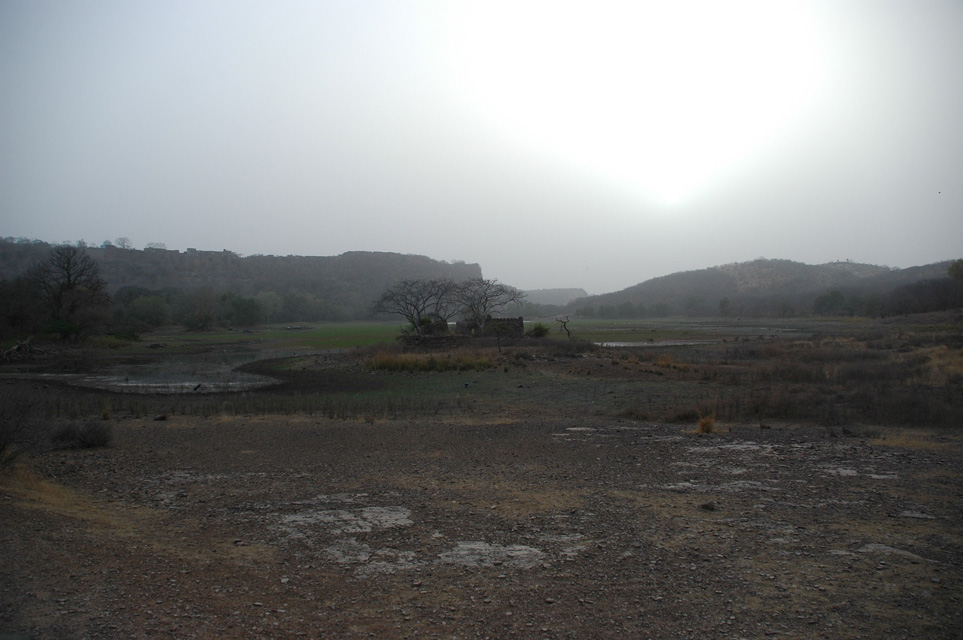 JAI Ranthambore National Park - crumbling hunting house in crocodile-filled lake with evening sun 3008x2000