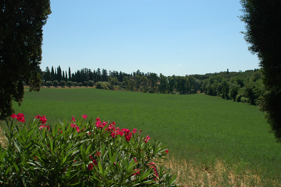 FCO Rome - Via Appia Antica Catacombs of San Callisto 06 3008x2000