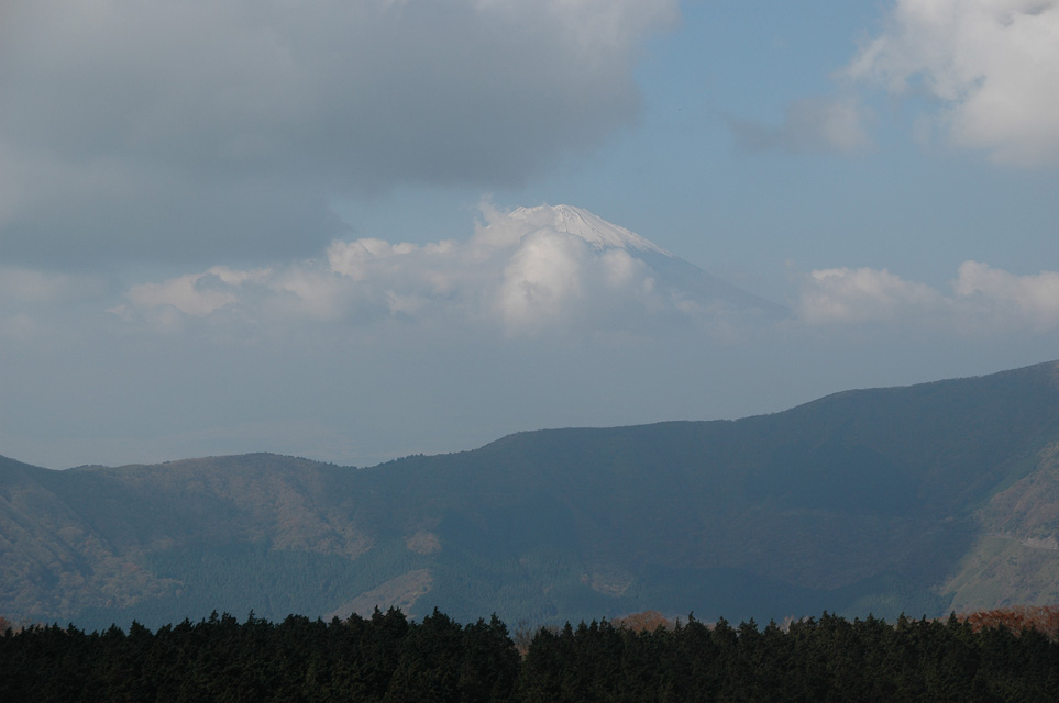 NRT Hakone - Mount Fuji or Fuji-san panorama with forest trees view from cable-car or ropeway line between Owakudani volcanic hot springs and Togendai 3008x2000