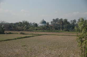 AMI Lombok mosque with rice field 3008x2000