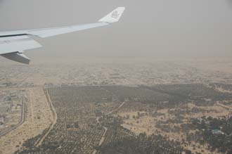 DXB Dubai from aircraft - outskirts with trees 02 3008x2000